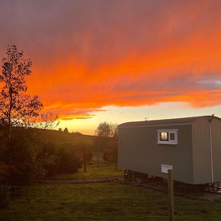 The Buteland Stop Rosie Off Grid Shepherds Hut Беллінгем Екстер'єр фото