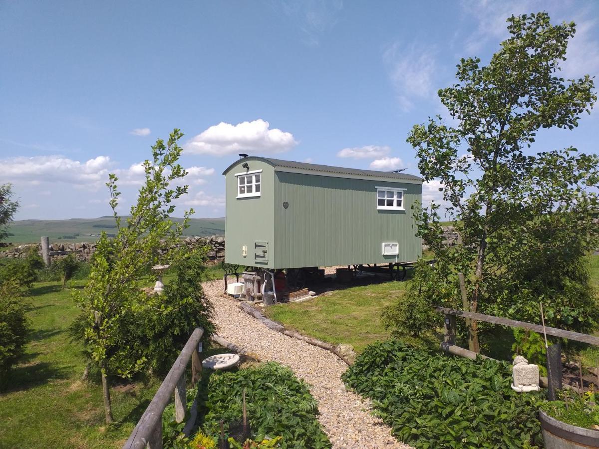 The Buteland Stop Rosie Off Grid Shepherds Hut Беллінгем Екстер'єр фото