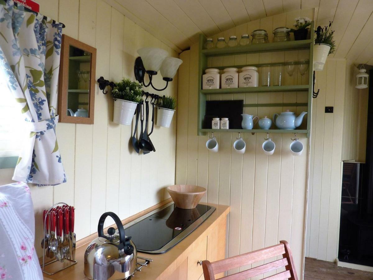 The Buteland Stop Rosie Off Grid Shepherds Hut Беллінгем Екстер'єр фото