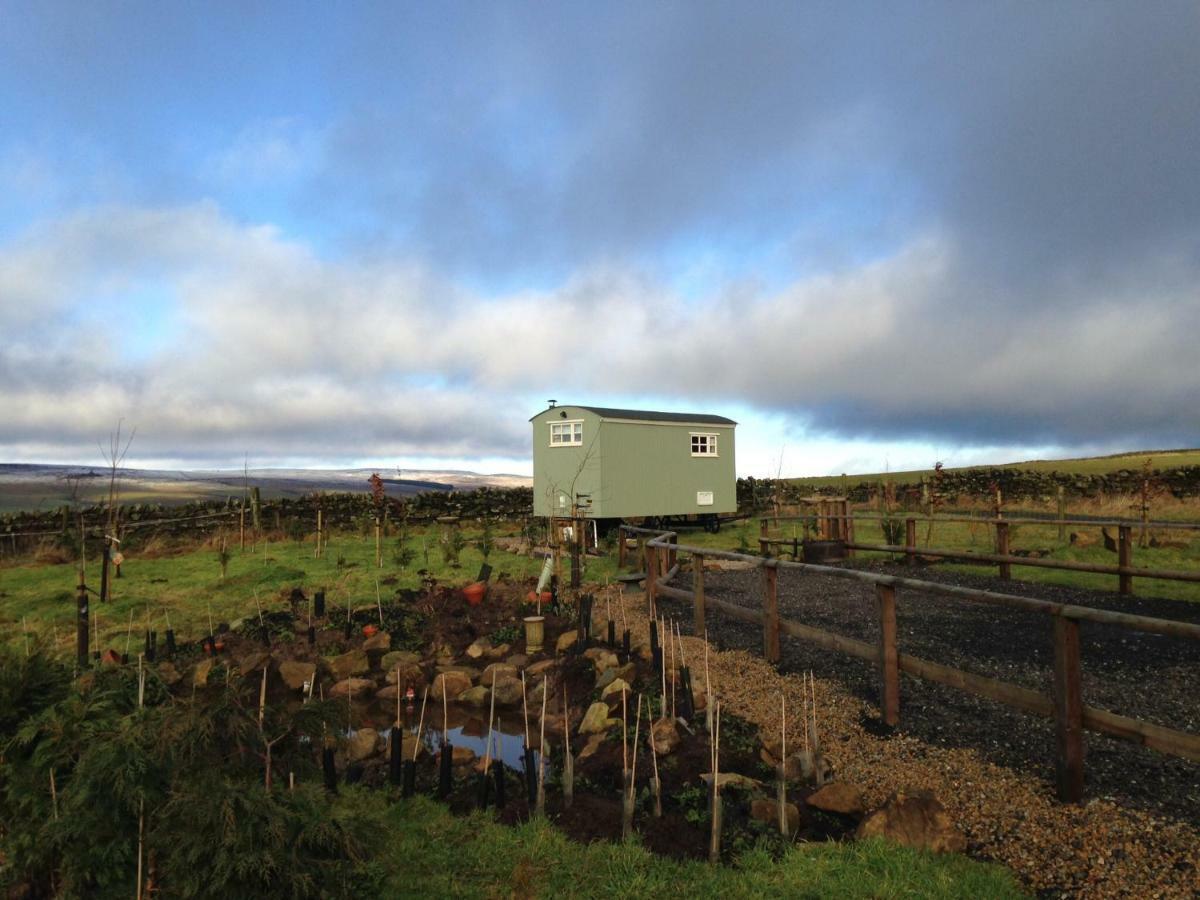 The Buteland Stop Rosie Off Grid Shepherds Hut Беллінгем Екстер'єр фото