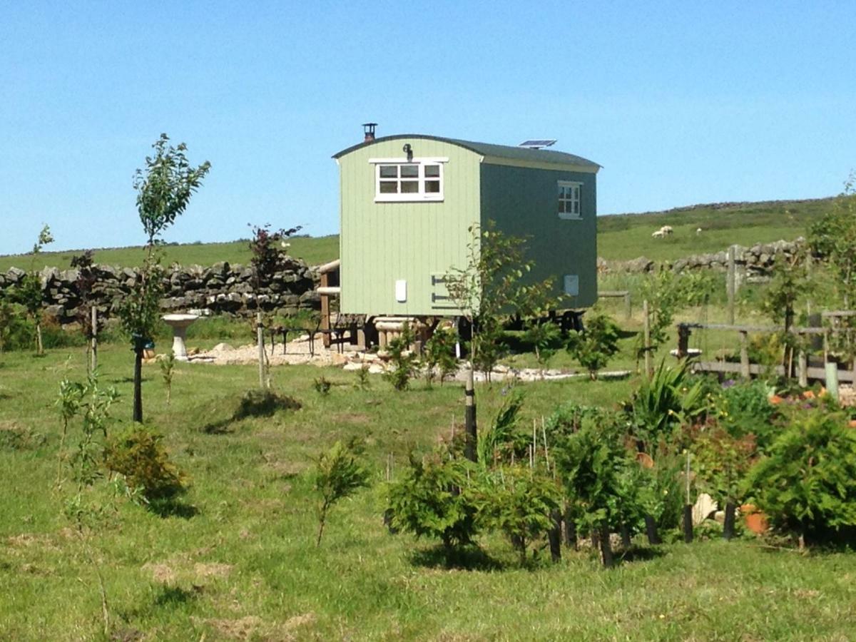 The Buteland Stop Rosie Off Grid Shepherds Hut Беллінгем Екстер'єр фото