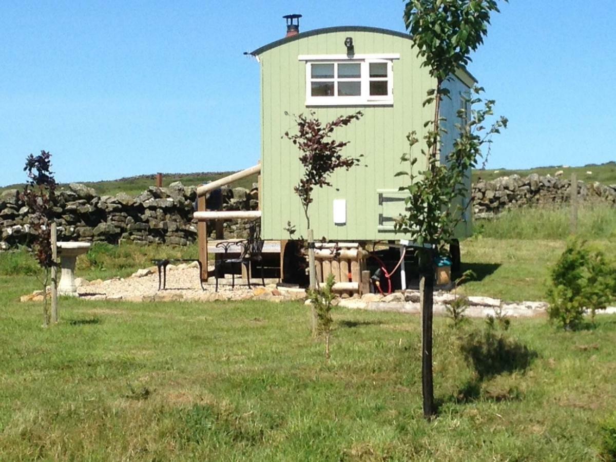The Buteland Stop Rosie Off Grid Shepherds Hut Беллінгем Екстер'єр фото